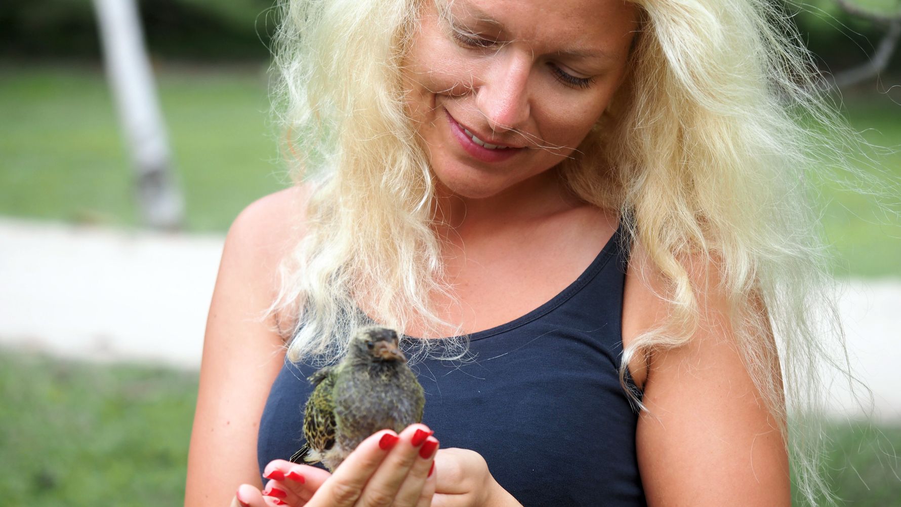 freiwilligenarbeit-seychellen-erfahrungsbericht-vogel-artenschutz-natucate