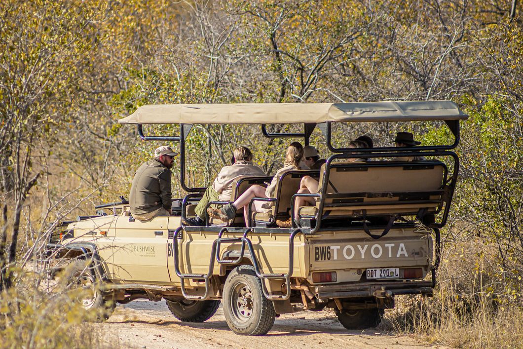 natucate-guide-course-bw-pfg-game-drive-people-bush