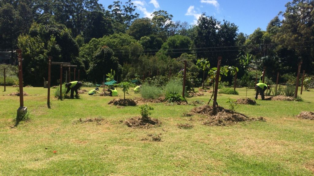 freiwilligenarbeit-australien-arbeiten-blog-natucate