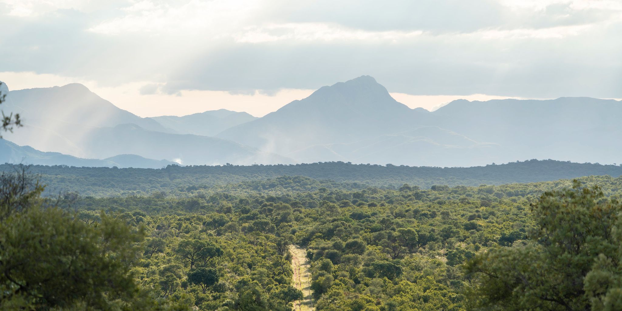 natucate-guide-courses-bw-south-africa-landscape-mountains