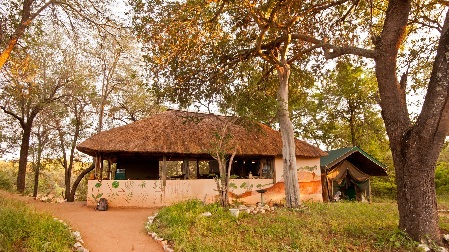 blog-camp-selati-wandbemalung-unterrichtsraum-natucate