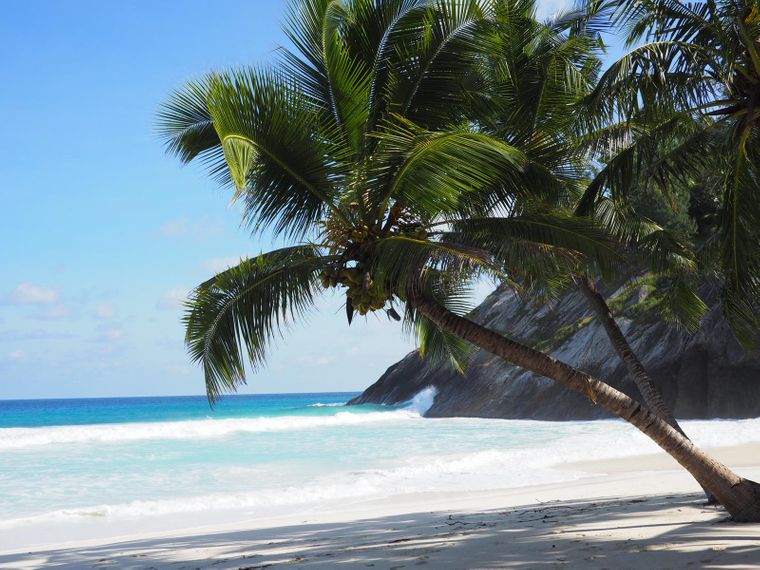 erfahrungsberichte-freiwilligenarbeit-seychellen-north-island-artenschutz-nancy-2-strand-palme-natucate
