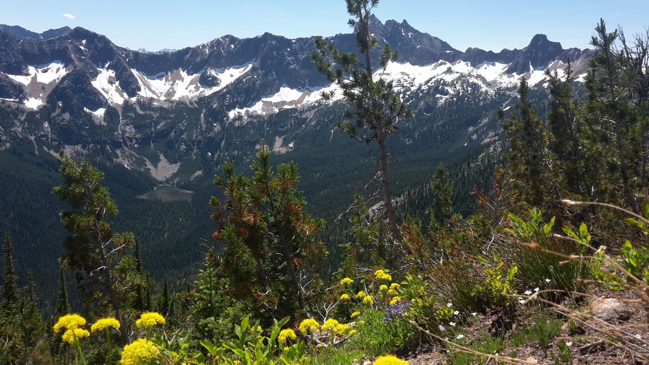 erfahrungsbericht-praktikum-usa-landwirtschaft-oekologischer-hof-wildnis-natucate