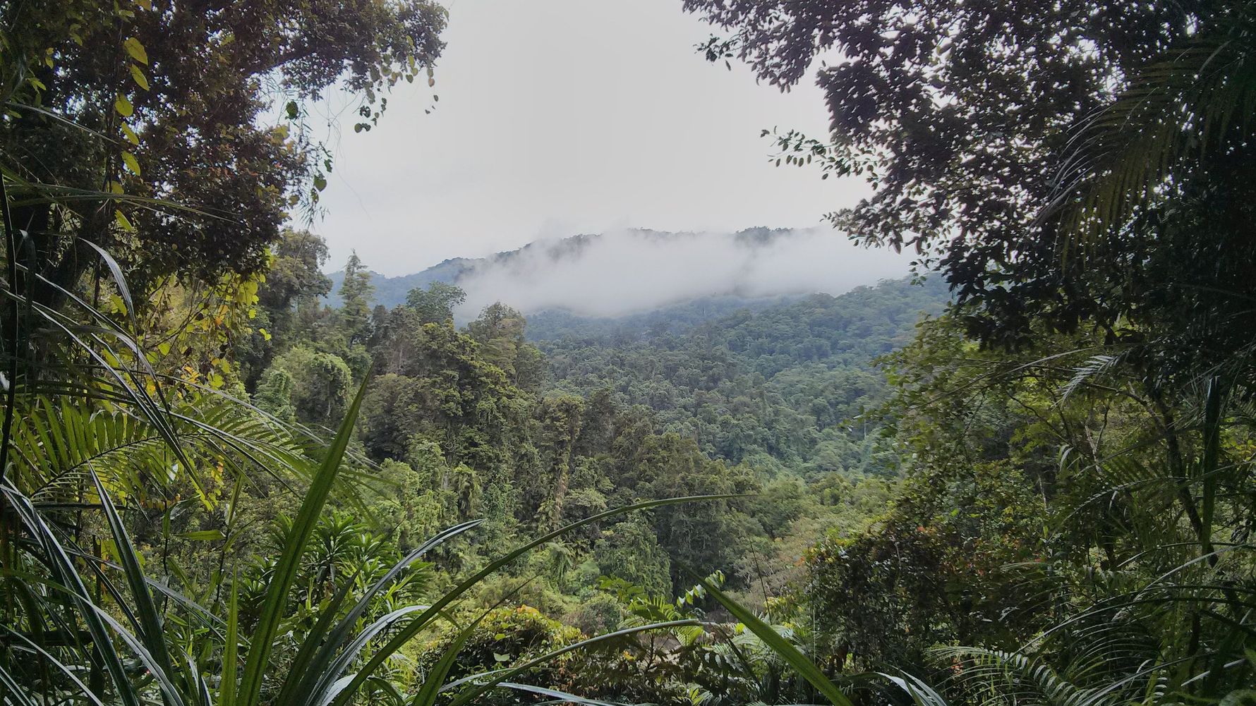 erfahrungsberichte-sabbatical-neuseeland-naturschutz-ulrich-aussicht-wolken-natucate
