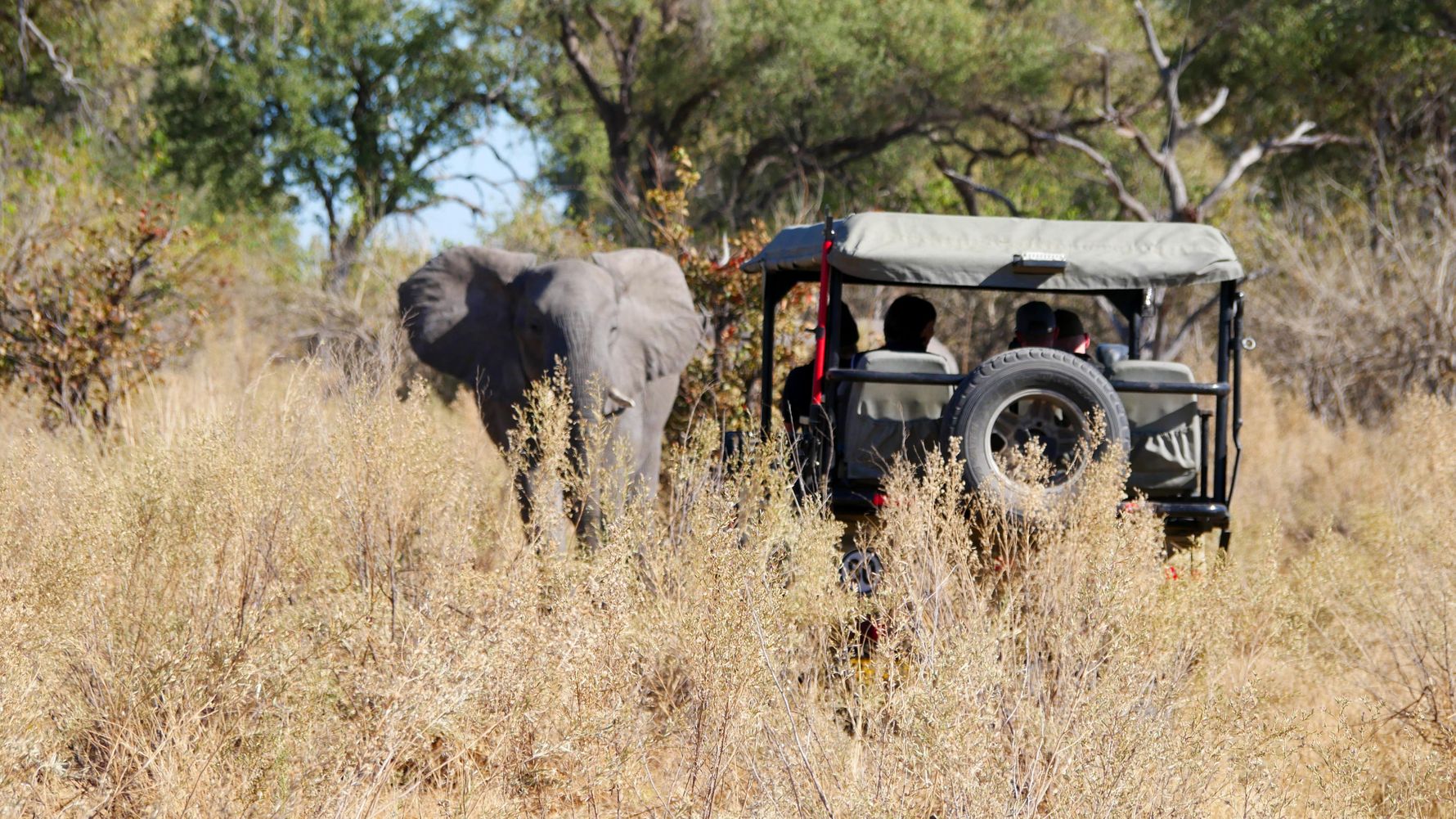 landingpage-familiensafari-suedafrika-game-drive-natucate