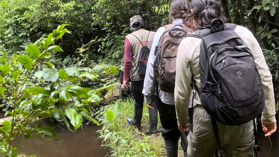 erfahrungsberichte-freiwilligendienst-peru-sina-group-walking-natucate