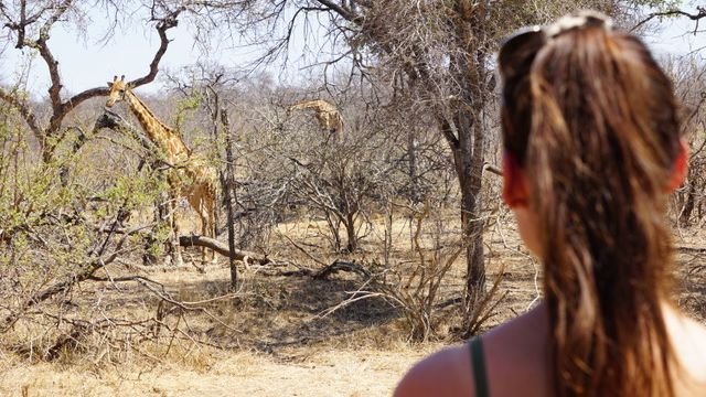 erfahrungsberichte-rangerkurse-field-guide-level-1-linda-giraffen