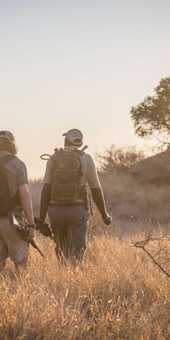 Zwei Guides fuehren ihre Gruppe per Pirschwanderung durch den Busch