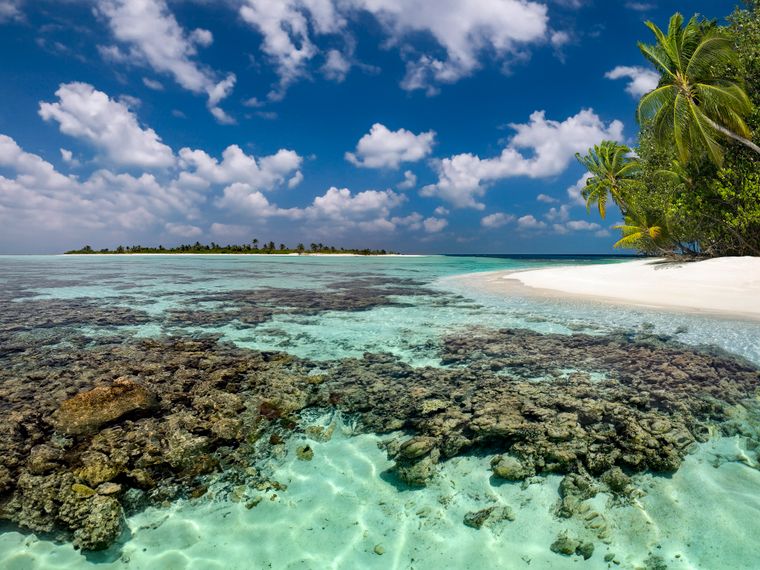 blog-wissen-malediven-marine-welt-paradis