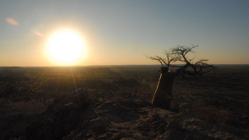 erfahrungsberichte-suedliches-afrika-fgl1-rangerausbildung-landschaft-natucate