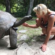 freiwilligenarbeit-seychellen-schildkroete-erfahrungsbericht-natucate