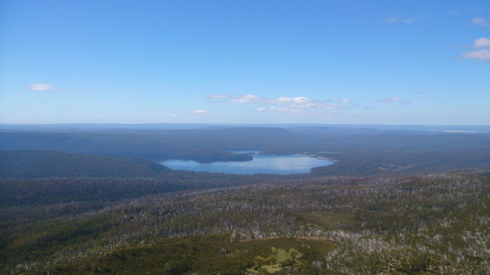 erfahrungsberichte-freiwilligenarbeit-australien-naturschutz-marvin-himmel-natucate