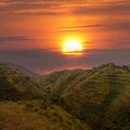 uganda-laenderinformation-bwindi-impenetrable-forest-sonnenuntergang