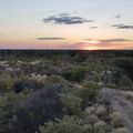 laenderinformationen-botswana-highlights-central-kalahari-game-reserve-natucate