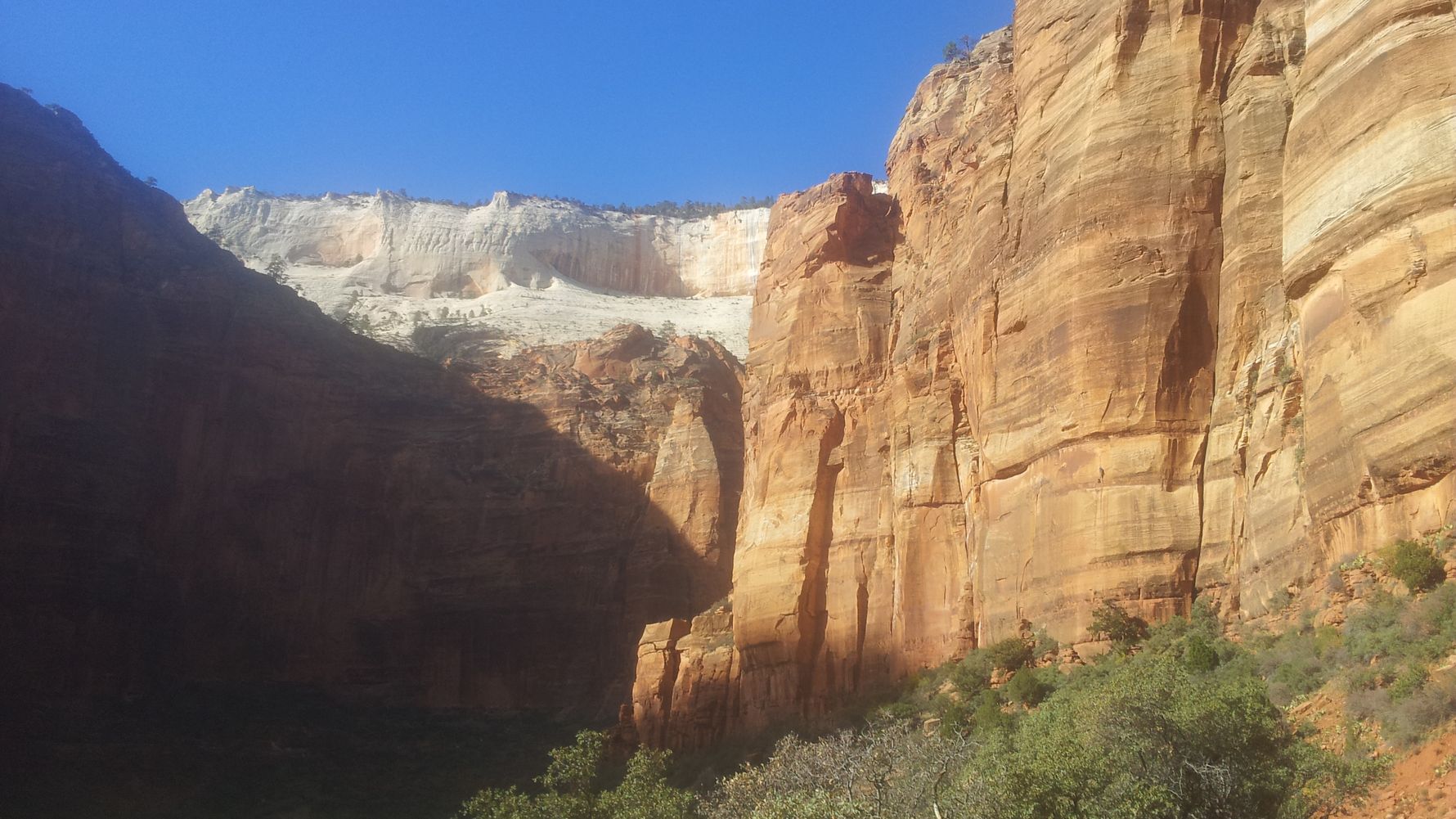 freiwilligenarbeit-usa-north-carolina-erfahrungsbericht-naturschutz-berge-natucate