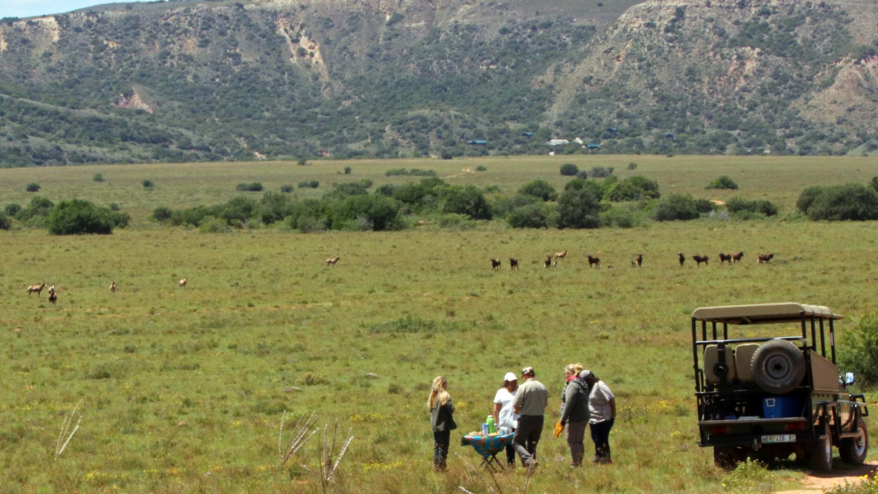 blog-ratgeber-suedafrika-ostkap-game-drive-natucate