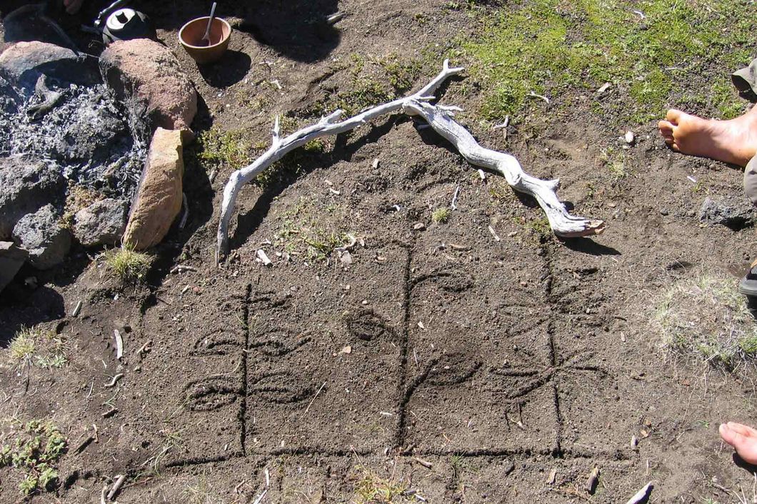 Pflanzenzeichnung auf der Erde zur Erklaerung der patagonischen Pflanzenwelt