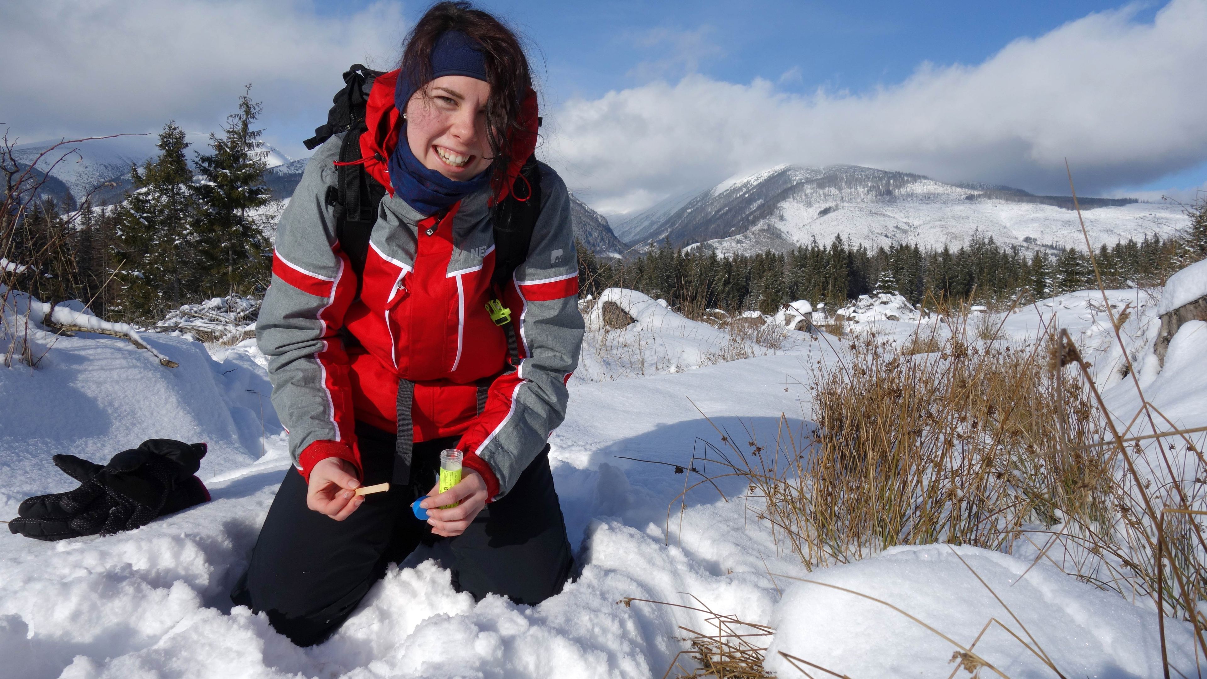 A voluntary helper in the wolf and lynx project doing research work in the snow