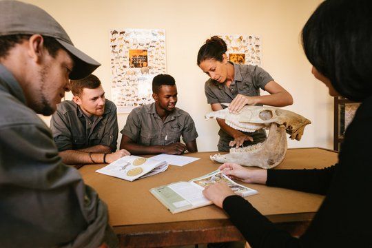 natur-und-rangerkurs-namibia-apprentice-field-guide-theory-natucate