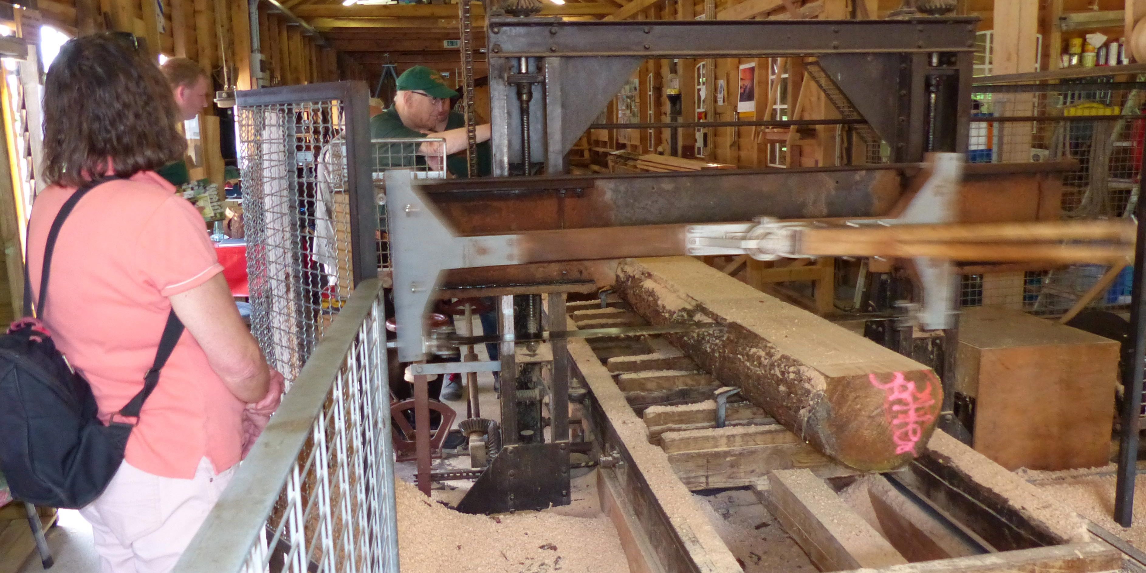 naturreise-deutschland-ostfriesland-ecotour-exkursion-reisegruppe-holz-natucate