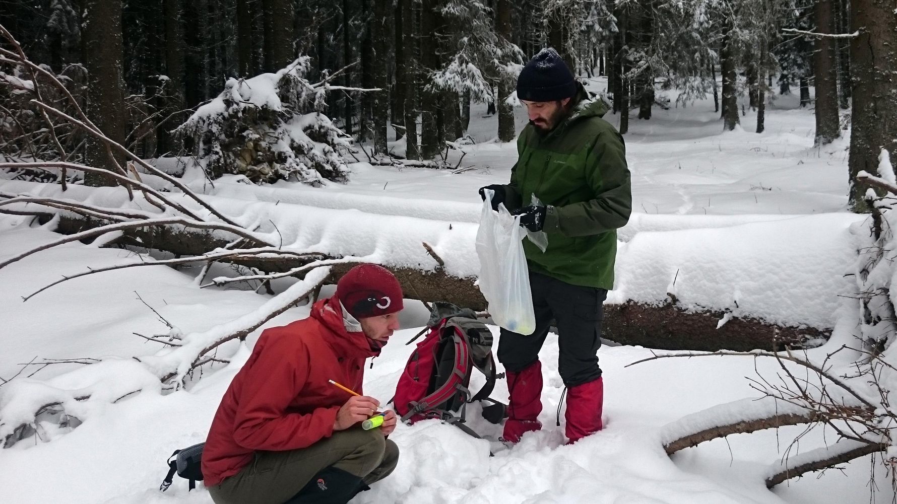 Freiwilligenarbeit Slowakei: Volunteers sammeln Daten zu Woelfen und Luchsen