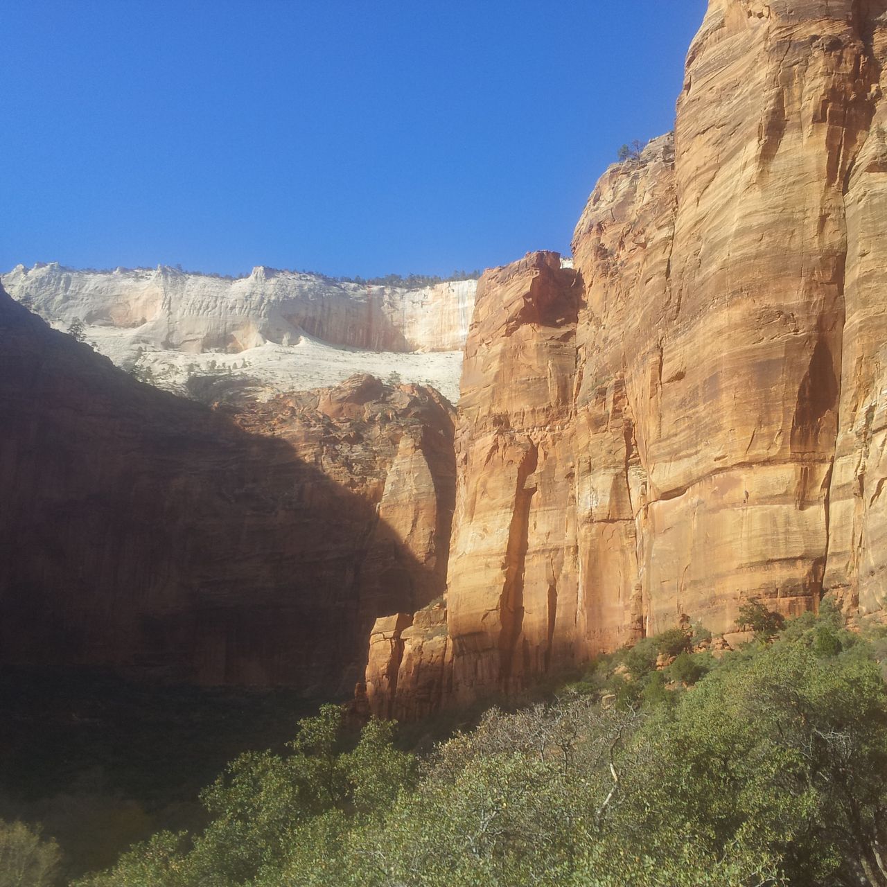 freiwilligenarbeit-usa-north-carolina-erfahrungsbericht-naturschutz-berge-natucate