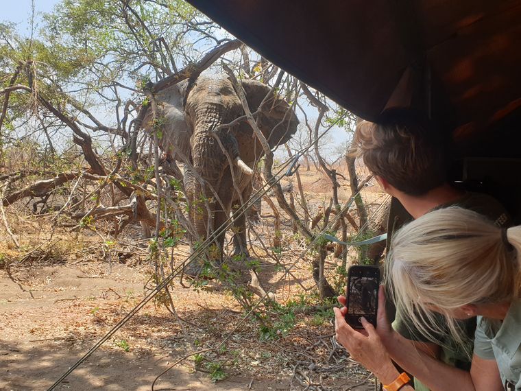 erfahrungsberichte-naturausbildung-fgl1-babett-elefant