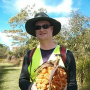 erfahrungsberichte-sabbatical-neuseeland-naturschutz-ulrich-teilnehmer-pflanze-natucate