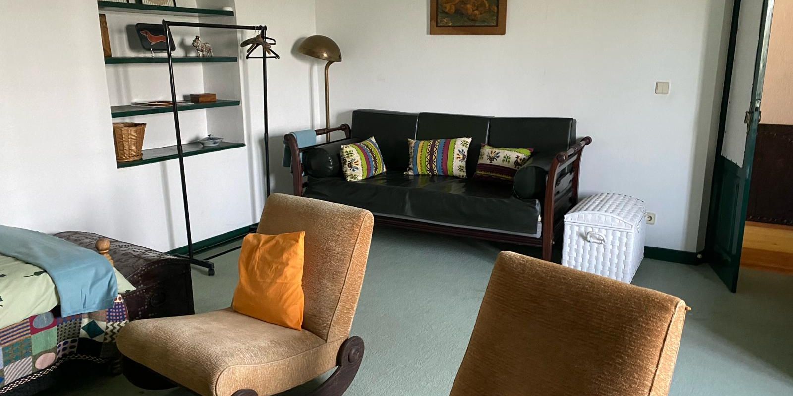 natucate-volunteering-portugal-animal-welfare-living-room