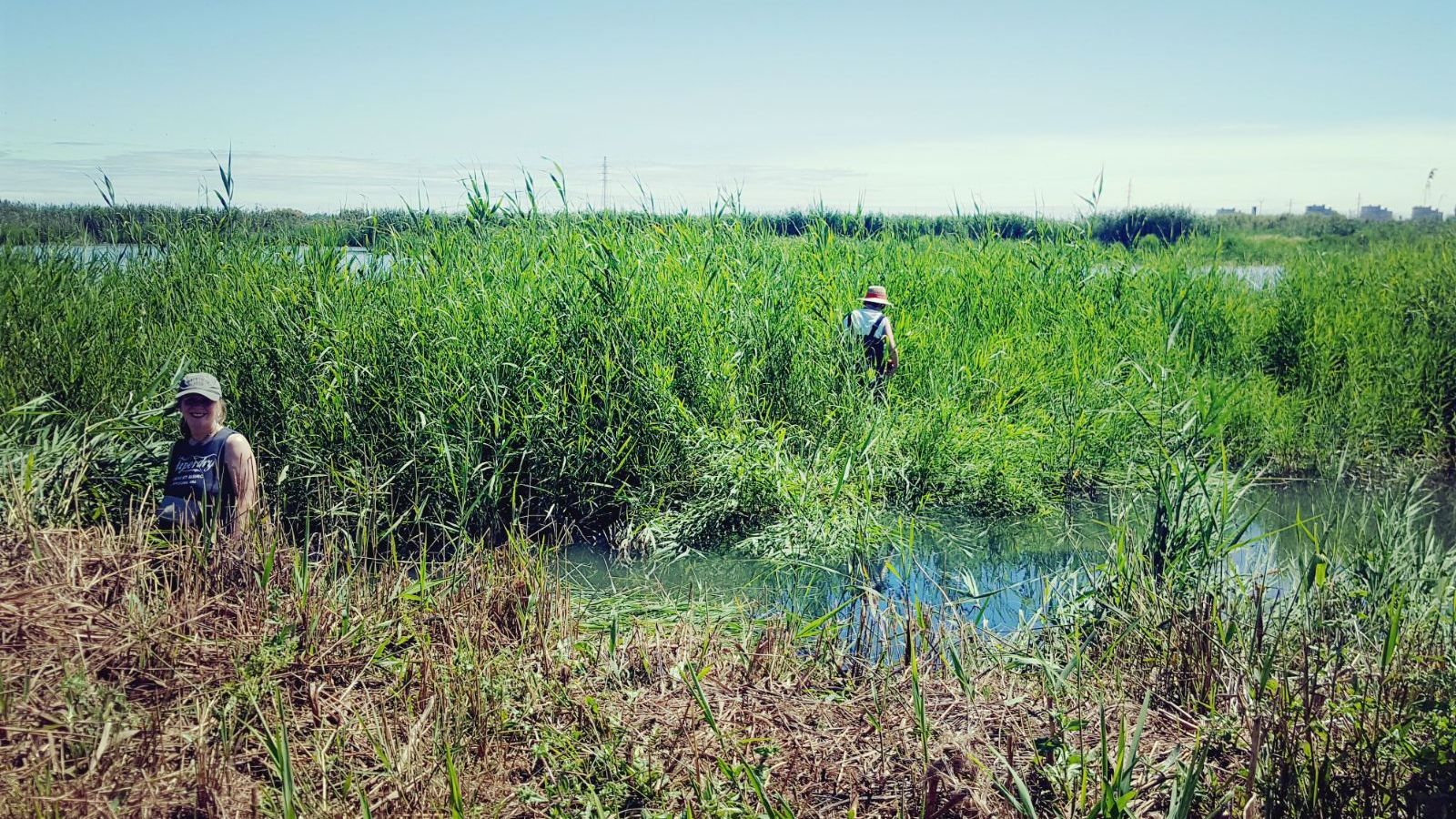 freiwilligenarbeit-spanien-valencia-europa-volunteers-naturschutz-natucate