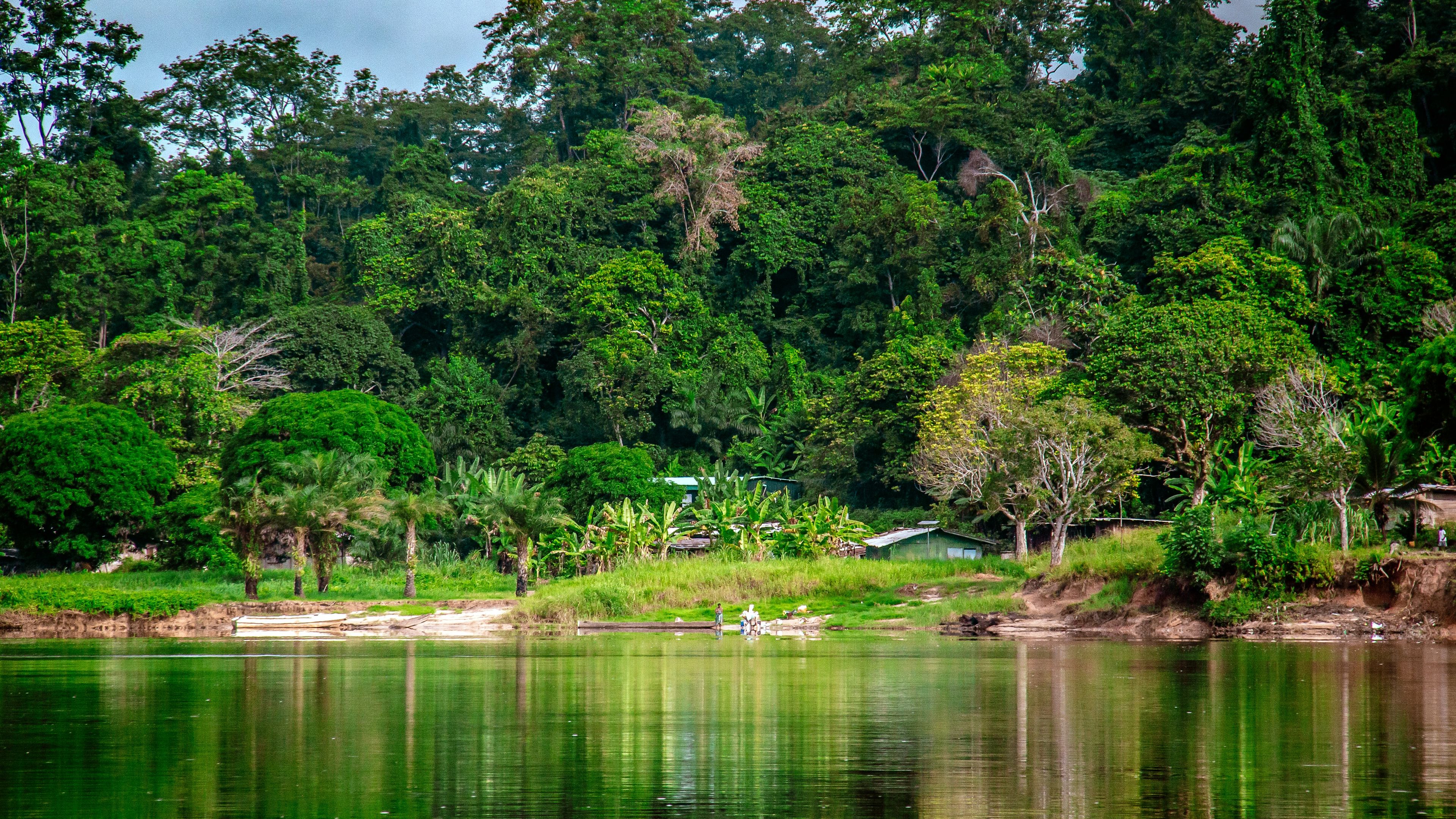 gabon-country-information-rainforest-village
