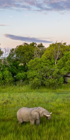 natucate-pwe-botswana-khwai-little-sable-exterior