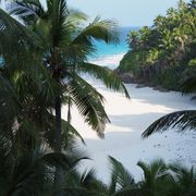 erfahrungsberichte-freiwilligenarbeit-seychellen-north-island-artenschutz-petra-lina-palmen-natucate