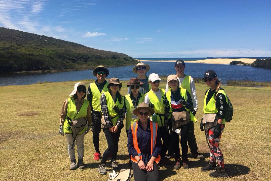 freiwilligenarbeit-australien-naturschutz-volunteers-kueste-natucate