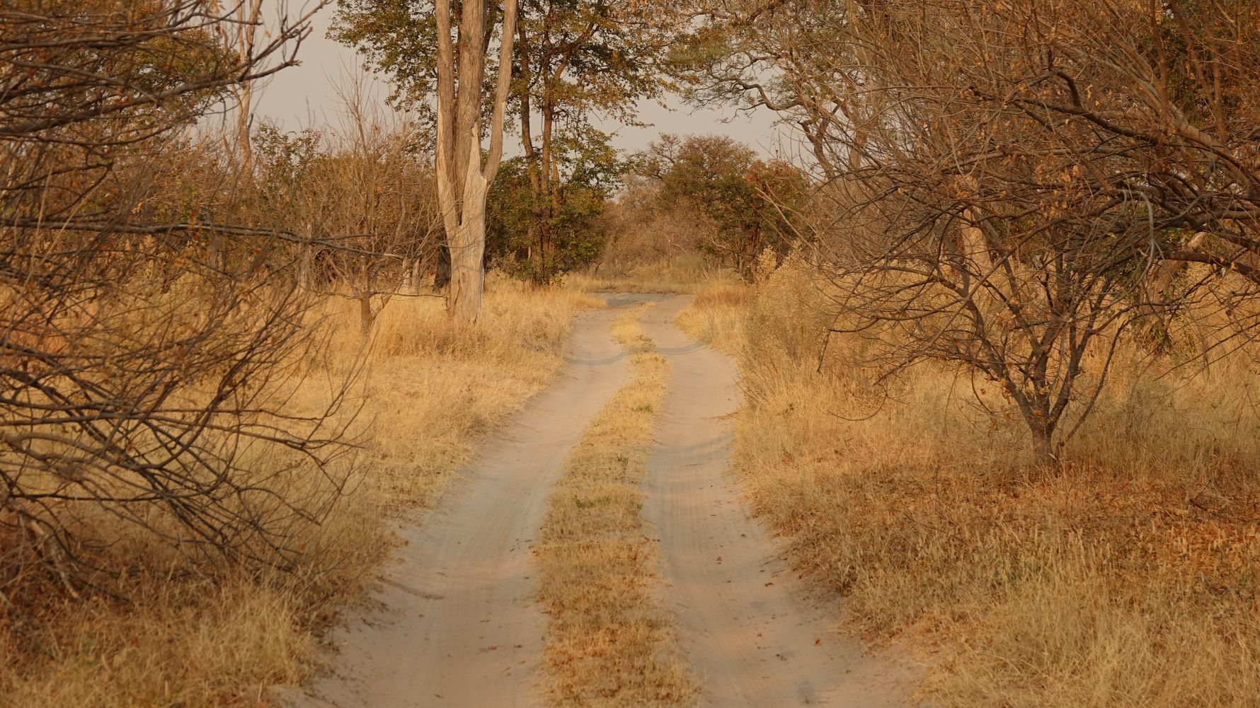 blog-ratgeber-botswana-chief-s-island-strasse-natucate