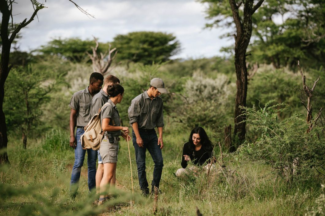 natur-und-rangerkurs-namibia-apprentice-field-guide-bushwalk-natucate