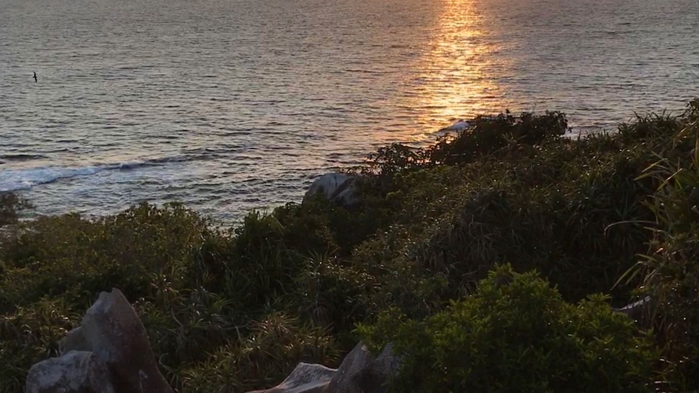 erfahrungsberichte-freiwilligenarbeit-seychellen-cousin-island-artenschutz-kai-sonnenuntergang-aussicht-natucate