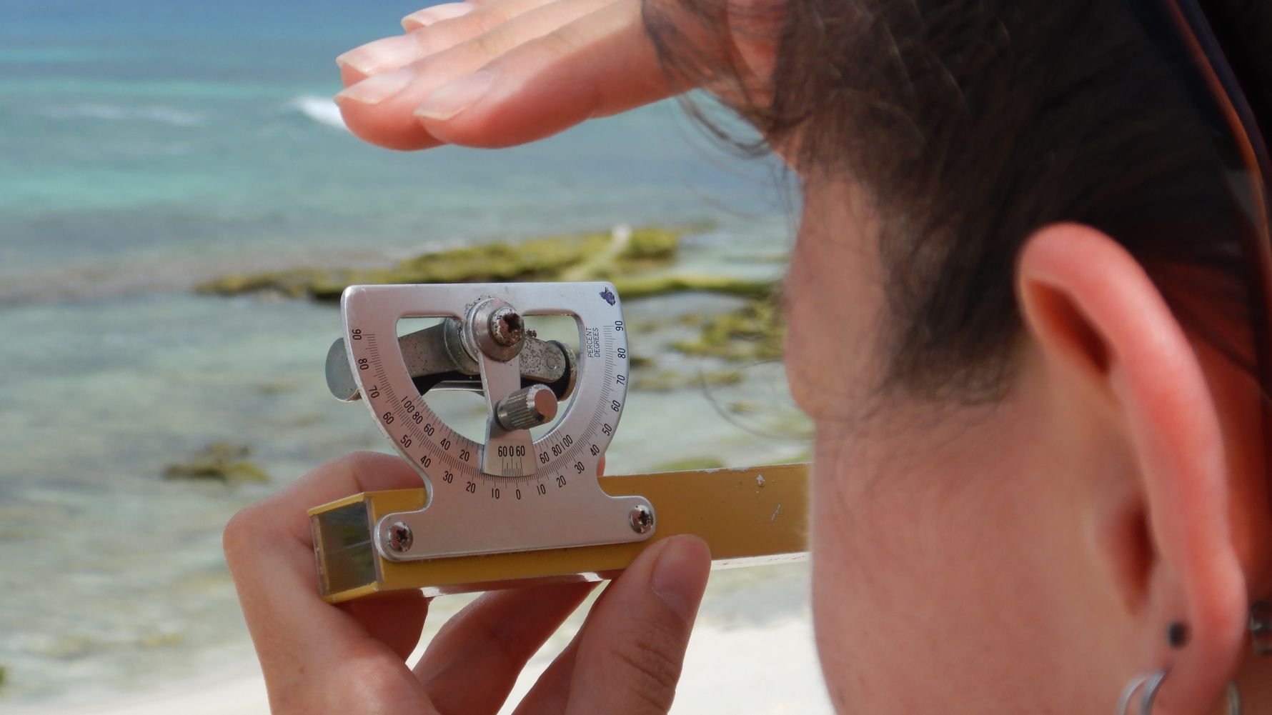 blog-ratgeber-haeufig-gestellte-fragen-auslandspraktikum-praktikum-forschung-natucate