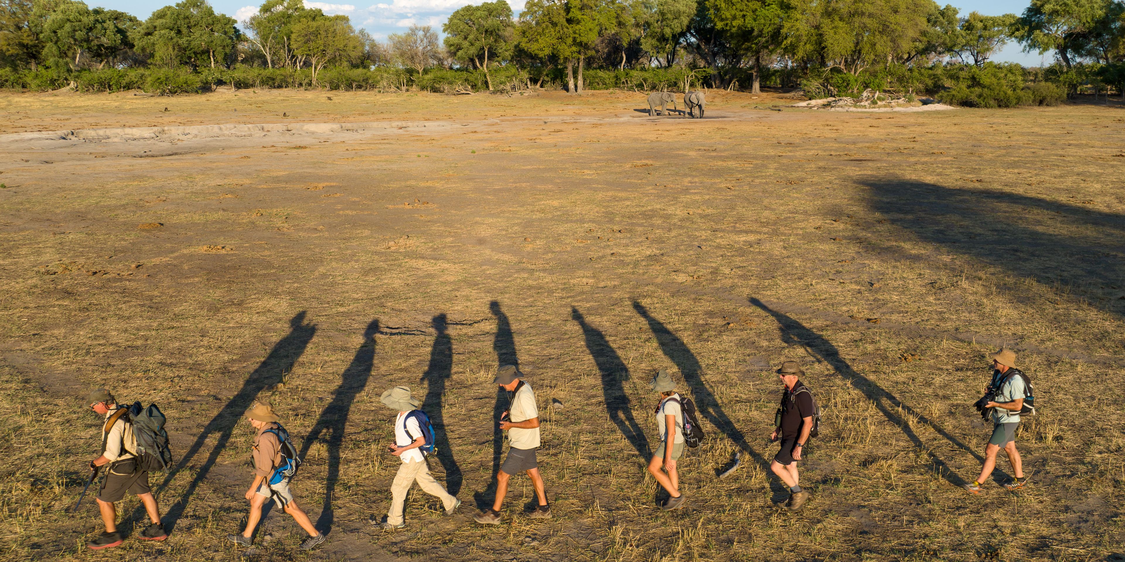 safari-botswana-bliss-deluxe-walking-safari