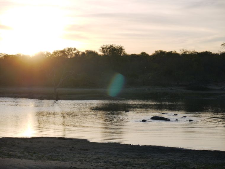 erfahrungsberichte-suedliches-afrika-fgl1-rangerausbildung-flusspferde-natucate