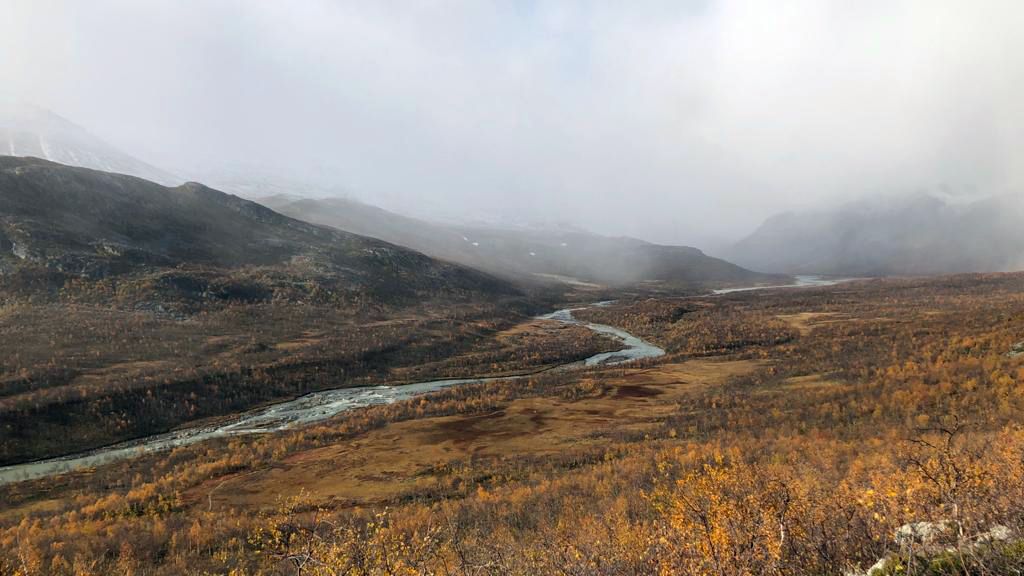 laenderinformationen-schweden-waelder-natucate
