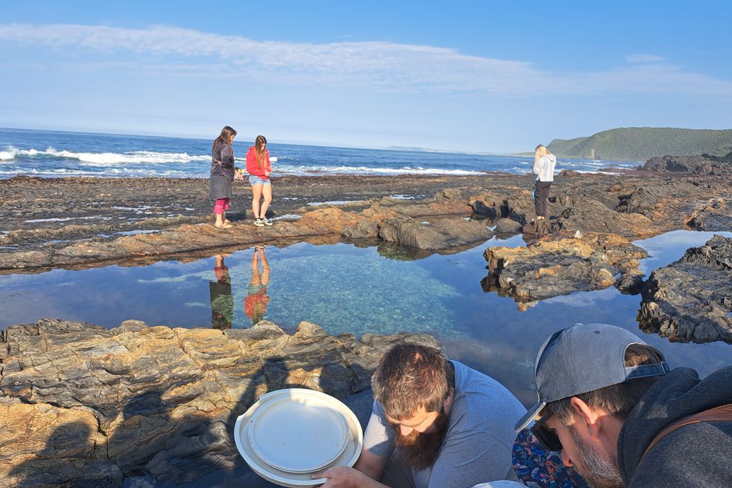 natucate-internship-south-africa-nature-valley-trust-forschung-strand-identifizierung