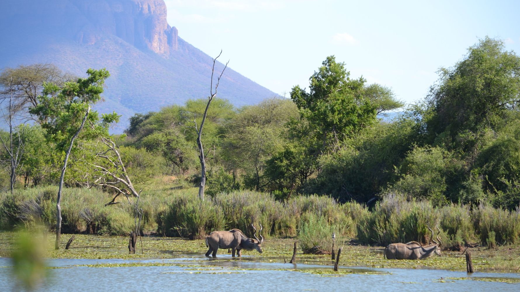 Blog – South Africa: Marakele National Park ⋅ Natucate