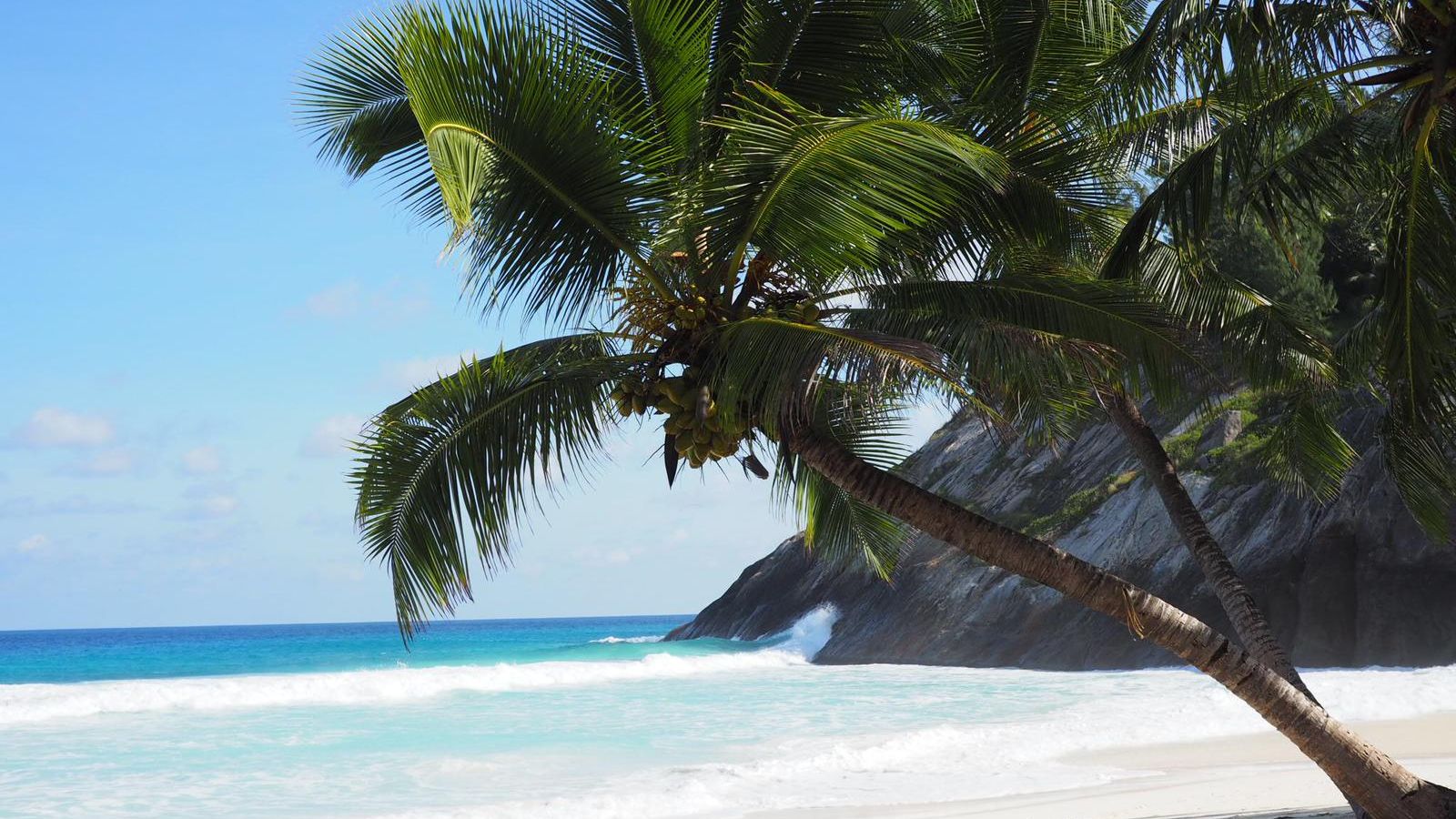 blog-ratgeber-seychellen-north-island-strand-palme-natucate