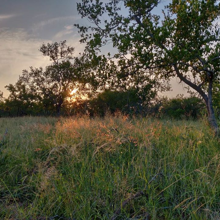 erfahrungsberichte-rangerkurse-professional-field-guide-james-sonnenuntergang