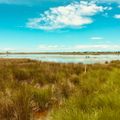 The marshy wetland of Camargue