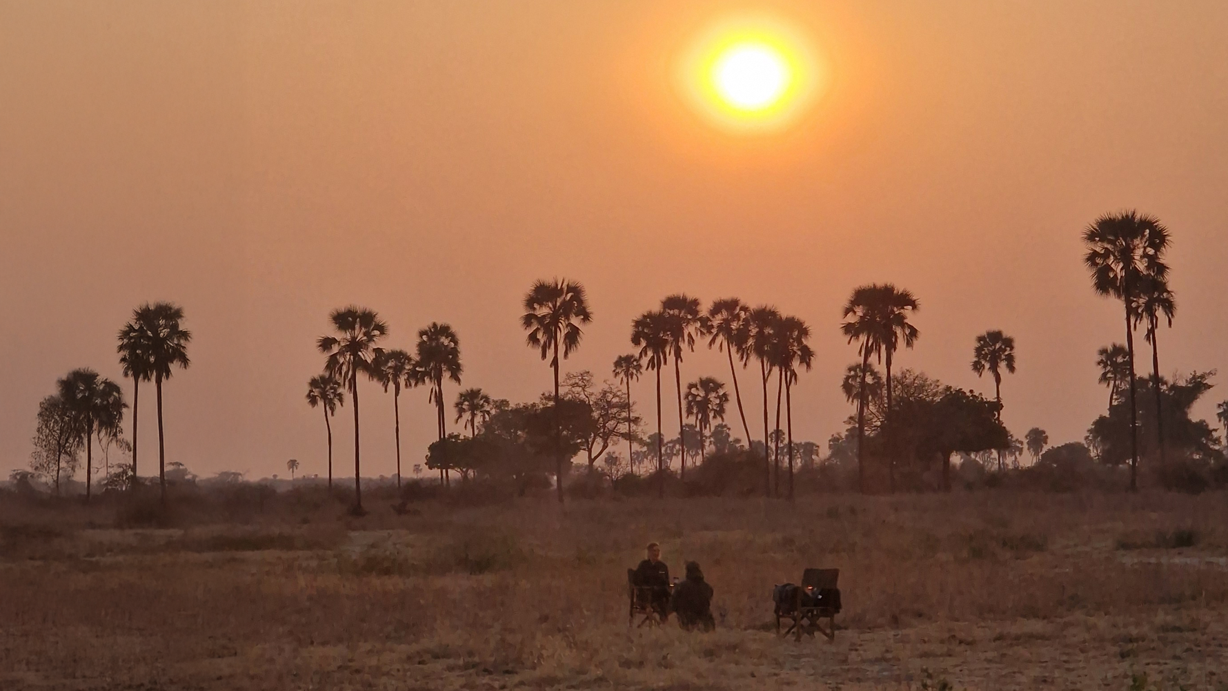 natucate-blog-field-visit-ruaha-sunset