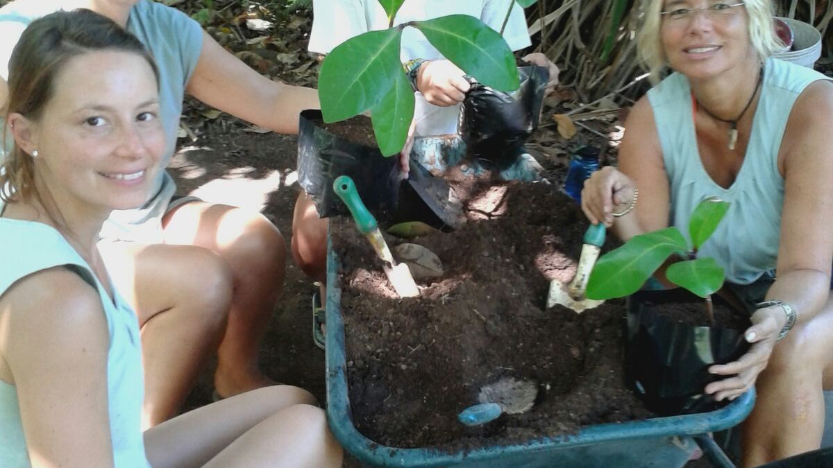 freiwilligenarbeit-seychellen-erfahrungsbericht-artenschutz-kundenfotos-natucate