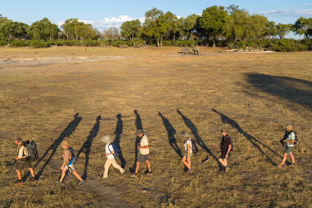 safari-botswana-bliss-deluxe-walking-safari