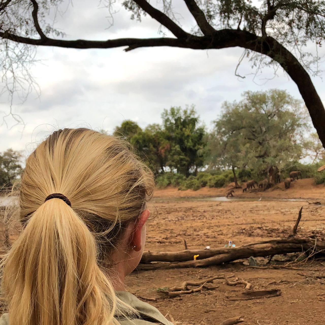 erfahrungsberichte-rangerkurse-suedafrika-trailsguide-tadjara-elefanten-herde